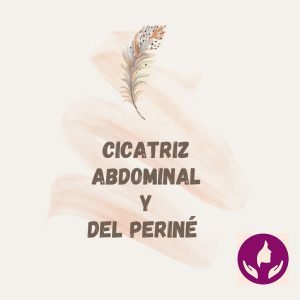 Cicatriz abdominal y perine