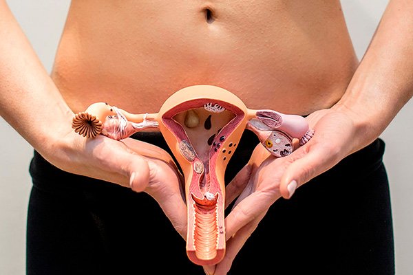 Flora vaginal 