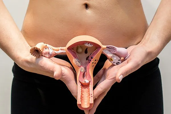 infecciones vaginales flora vaginal